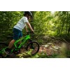 Huffy Extent 20" Bike - vaikiškas dviratis, žalia greitai