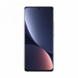 Xiaomi 12 Pro 5G 12/256GB DS, Gray - išmanusis telefonas pigiau