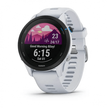 Garmin Forerunner 255 Music 46mm, Whitestone, Silicone, GPS - išmanusis laikrodis kaina