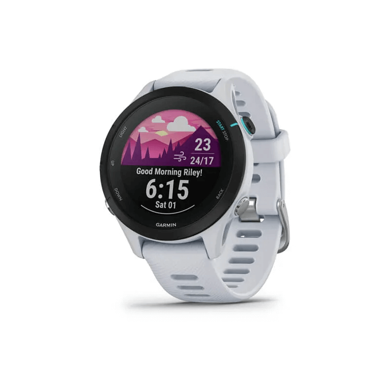 Garmin Forerunner 255S Music 41mm, Whitestone, Silicone, GPS - išmanusis laikrodis kaina