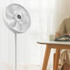 Xiaomi Deerma Electric Fan FD10W - oro ventiliatorius, pastatomas, laidinis lizingu