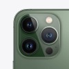 Apple iPhone 13 Pro Max 256GB Alpine Green internetu