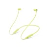 Beats Flex – All-Day Wireless Earphones - Yuzu Yellow - belaidės ausinės kaina