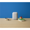 Google Nest Audio, Chalk (Gray) - išmanioji kolonėlė su asistentu, ES versija garantija