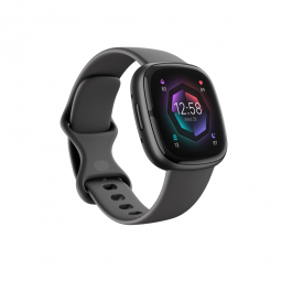 Fitbit Sense 2 Watch 41mm, NFC, GPS, Shadow Grey / Graphite Aluminium - išmanusis laikrodis kaina