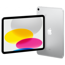 Apple iPad 10.9" Wi-Fi + Cellular 256GB 10th Gen (2022) Silver - planšetinis kompiuteris kaina