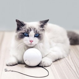 Xiaomi HomeRunPet Smart Cat Ball TB10 išmanusis kamuoliukas - žaislas katėms pigiau
