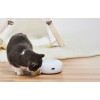 Xiaomi HomeRunPet Smart Cat Toy CT10 išmanusis žaislas katėms lizingu