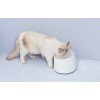 PetWant W2-N Healthy Smart Pet Water Fountain - gertuvas augintiniams garantija