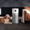 Xiaomi Smart Air Purifier Elite - oro valymo ir ventiliavimo įrenginys pigiai