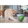 Cheerble Wicked Egg Interactive Pet Toy, Olive Green - interaktyvus žaislas augintiniams internetu