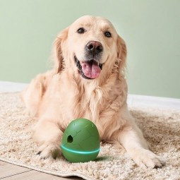 Cheerble Wicked Egg Interactive Pet Toy, Olive Green - interaktyvus žaislas augintiniams pigiau