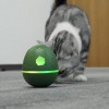 Cheerble Wicked Egg Interactive Pet Toy, Olive Green - interaktyvus žaislas augintiniams pigu