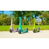 Razor Wild Ones Junior Kick Scooter Unicorn Pink - vaikiškas paspirtukas, rožinis pigiau