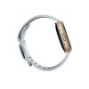 Fitbit Sense 2 Watch 41mm, NFC, GPS, Blue Mist/Soft Gold Aluminium - išmanusis laikrodis pigiau