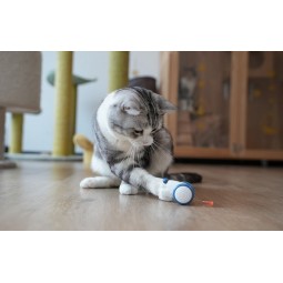 Cheerble Wicked Mouse Interactive Cat Toy - interaktyvus žaislas katėms pigu