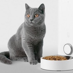 PetKit Fresh Element Mini Smart Pet Feeder išmanusis maisto dozatorius pigiau