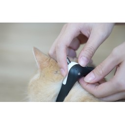 Cheerble KiTiDOT Laser Cat Collar - lazerinis kačių antkaklis kaune
