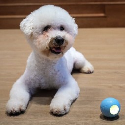 Cheerble Ball W1 SE Wicked Ball Interactive Pet Ball - interaktyvus žaislas augintiniams