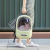 PetKit Pet Travel Backpack Breezy 2, Green - kelioninė kuprinė augintiniams pigiau