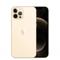 (Ekspozicinis) Apple iPhone 12 Pro 256GB, Gold - išmanusis telefonas kaina