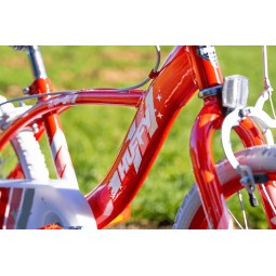 Huffy Glimmer 18" Bike - vaikiškas dviratis, raudona skubu