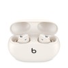 Beats Studio Buds + – True Wireless Noise Cancelling Earphones – Ivory - belaidės ausinės pigiau