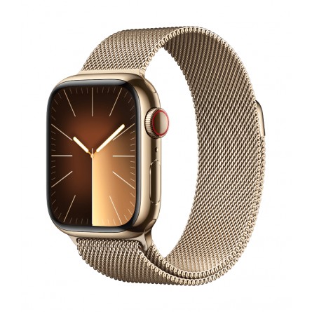 Apple Watch Series 9 GPS + Cellular 41mm Gold Stainless Steel Case with Gold Milanese Loop kaina