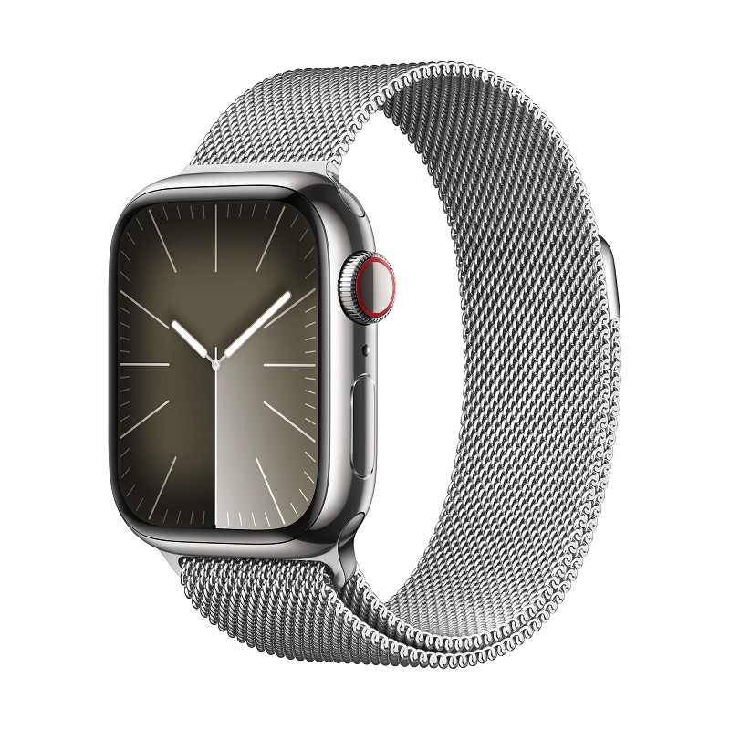 Apple Watch Series 9 GPS + Cellular 41mm Silver Stainless Steel Case with Silver Milanese Loop kaina