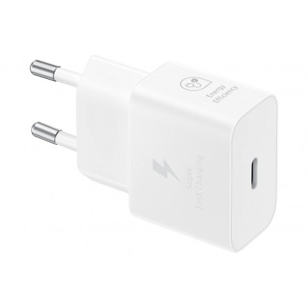 Samsung T2510NWEGEU Power Adapter 25W, White - buitinis įkroviklis kaina