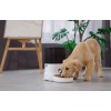 Dogness F11 Automatic Pet Feeder With Plastic Bowl - išmanusis maisto dozatorius lizingu