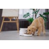 Dogness F11 Automatic Pet Feeder With Metal Bowl - išmanusis maisto dozatorius atsiliepimas