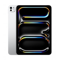 Apple iPad Pro 11" M4 Wi-Fi + Cellular 256GB (2024) with Standard Glass - planšetinis kompiuteris kaina