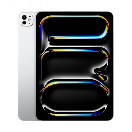 Apple iPad Pro 11" M4 Wi-Fi + Cellular 512GB (2024) with Standard Glass - planšetinis kompiuteris kaina