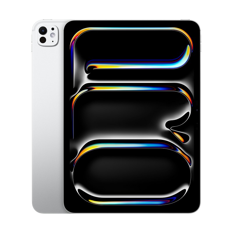 Apple iPad Pro 11" M4 Wi-Fi + Cellular 2TB (2024) with Standard Glass - planšetinis kompiuteris kaina