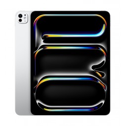 Apple iPad Pro 13" M4 Wi-Fi 512GB (2024) with Standard Glass, Silver - planšetinis kompiuteris kaina
