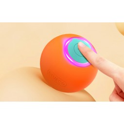 Rojeco Interactive Ball, Orange - interaktyvus žaislas augintiniams internetu