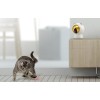 Xiaomi Petoneer Smart Laser Dot - išmanusis žaislas katėms - judantis lazerio taškas pigiai