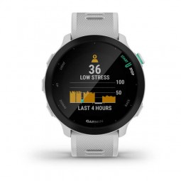 Garmin Forerunner 55 42mm, White / Whitestone, Silicone, GPS - išmanusis laikrodis pigiai