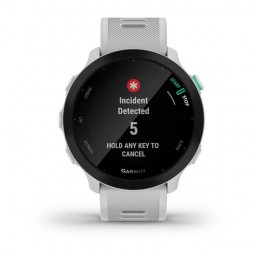 Garmin Forerunner 55 42mm, White / Whitestone, Silicone, GPS - išmanusis laikrodis lizingu