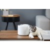 PetKit Eversweet 3 Dog and Cat Smart Drinking Fountain, White - gertuvas augintiniams lizingu