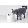PetKit Eversweet 3 Dog and Cat Smart Drinking Fountain, White - gertuvas augintiniams kaune