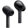 Xiaomi Mi True Wireless Earphones 2 Pro, Black - belaidės ausinės internetu