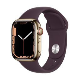 Apple Watch Series 7 GPS + Cellular, 41mm Gold Stainless...
