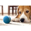 Cheerble Ball W1 Wicked Ball Interactive Pet Toy - Interaktyvus žaislas augintiniams išsimokėtinai