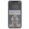 Xiaomi Petoneer Nutri Smart FDW010 Pet Feeder - išmanusis naminių gyvūnų maisto dozatorius lizingu